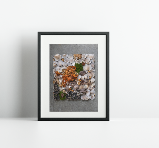 Fineart Print "Winter Mushrooms"