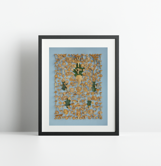 Fineart Print "Chanterelles"