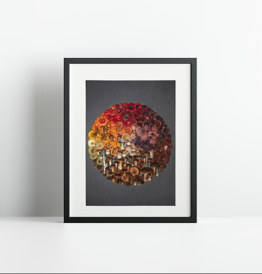 Finart Print "Full Circle2"