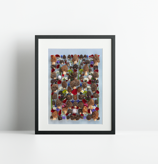 Finart Print "MORCHEL_FLATLAY_3_24"