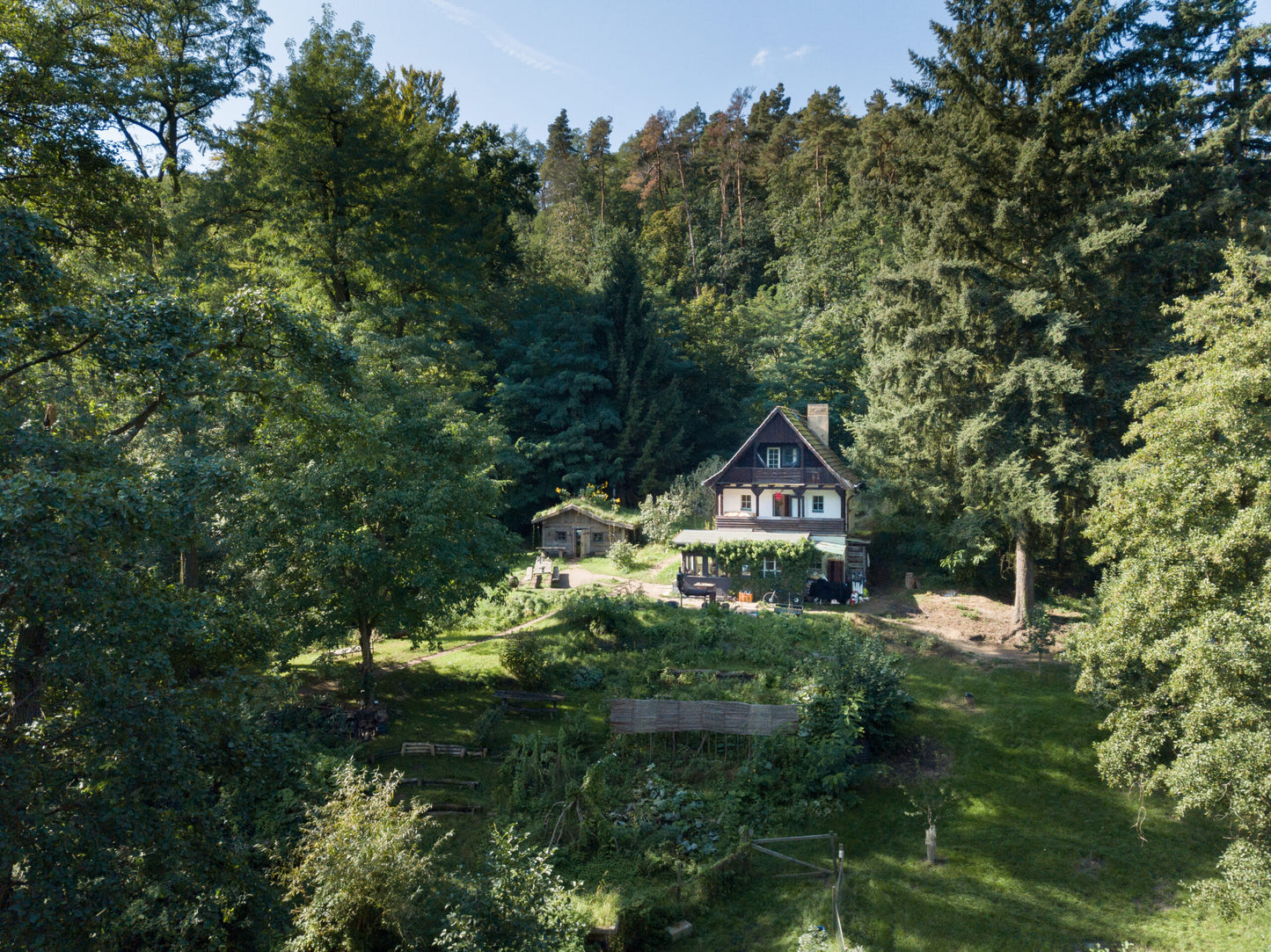 Pilze sammeln und Glück finden: Retreat in der Märkischen Schweiz/ Buckow vom 27. bis 29.9.2024