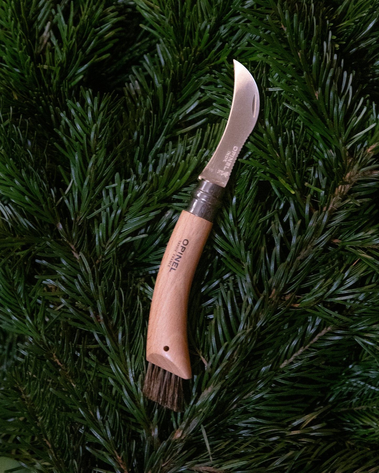 Opinel Pilzmesser